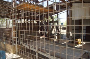 DSC01781 (1280x853) (2)