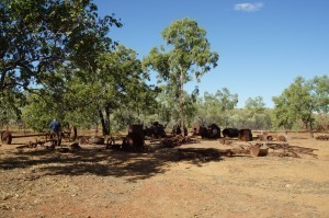 DSC01784 (1280x853) (2)