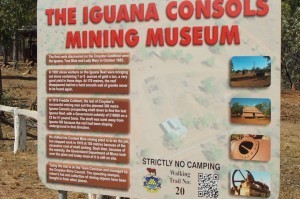 DSC01790 (1280x851) (2)