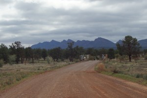 DSC03576 (1024x681) (2)